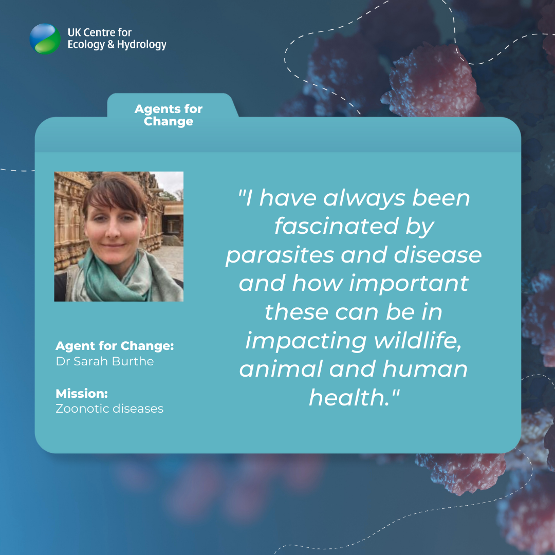 Agent for Change: Dr Sarah Burthe Mission zoonotic diseases and quote "I have always been fascinated by parasites and disease and how important these can be in impacting wildlife, animal and human health"